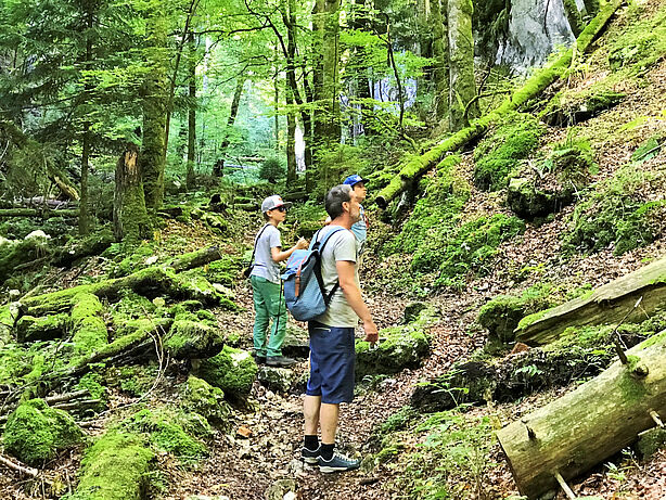 Angebote für Familien und Kinder im Naturpark Thal